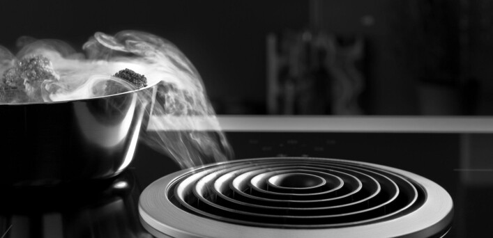 Spezialist für Dunstabzugssysteme Spezialist für Dunstabzugssysteme